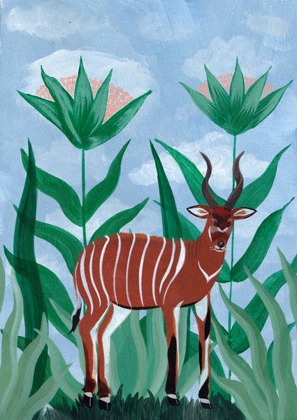 Bongo