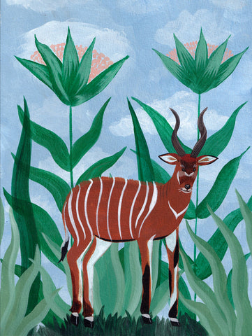 Bongo