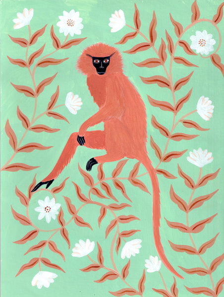 LANGUR DORADO